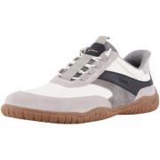 Lage Sneakers Josef Seibel -