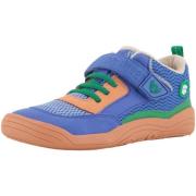 Hoge Sneakers Affenzahn -