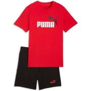 T-shirt Puma Ess 2 Color No. 1 Logo Tee And Set B