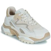 Lage Sneakers Ash ADDICT