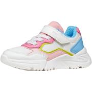 Lage Sneakers Geox 276785