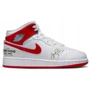 Hoge Sneakers Nike Air Jordan