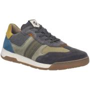 Lage Sneakers Josef Seibel -