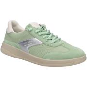 Lage Sneakers Josef Seibel -