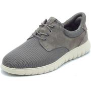 Lage Sneakers Geox U654JA U Flextride Dove