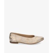 Ballerina's Kennebec 623