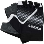 Sportaccessoires Legea Fit