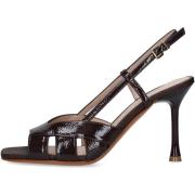 Pumps Albano 5605