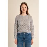 Trui Molly Bracken LA1717EP-SILVER