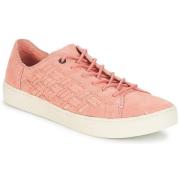 Lage Sneakers Toms LENOX