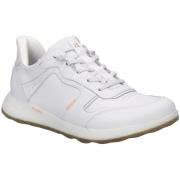 Lage Sneakers Josef Seibel -