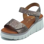 Sandalen IgI&amp;CO 1189533 Scam.