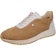 Lage Sneakers Wolky -