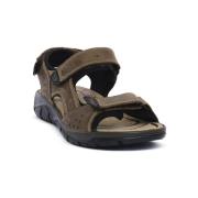 Sandalen IgI&amp;CO EVEREST FANGO