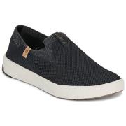 Instappers Saola BALI