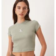 T-shirt Korte Mouw Calvin Klein Jeans -