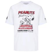 T-shirt Korte Mouw Iceberg -