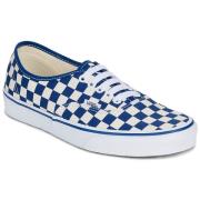 Lage Sneakers Vans Authentic AMQ - PRIMARY CHECK TRUE BLUE/WHITE