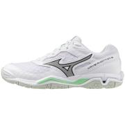 Fitness Schoenen Mizuno -