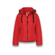 Windjack District Bluebell