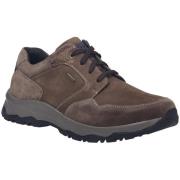 Lage Sneakers Josef Seibel -