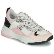 Lage Sneakers Ted Baker IZSLA