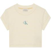 T-shirt Korte Mouw Calvin Klein Jeans Striped Monologo Bab