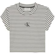 T-shirt Korte Mouw Calvin Klein Jeans Striped Monologo Bab