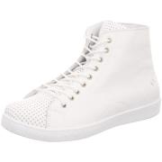 Laarzen Andrea Conti -