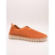 Lage Sneakers Ilse Jacobsen TULIP3275-906