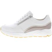 Lage Sneakers Solidus Kea