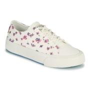 Lage Sneakers Levis SUMMIT LOW S