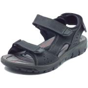 Sandalen IgI&amp;CO 1134900 Nabuk Ingrassato