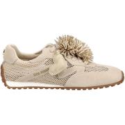 Lage Sneakers Steve Madden Halfhoge schoenen