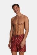 Shiwi Swimshort Scratched Shiwi Palm Roest