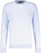 Polo Ralph Lauren Pullover Blauw heren