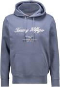 Tommy Hilfiger Hoodie Script Logo Blauw heren