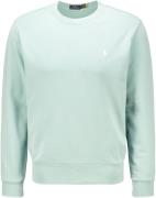 Polo Ralph Lauren Sweater Groen heren