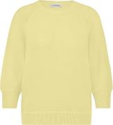 In Shape Pullover Odile Raglan Geel dames