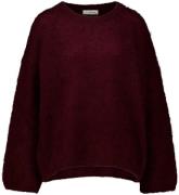 In Shape Trui Minne Rood dames