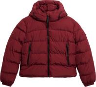 Superdry Pufferjas Sports Bordeaux Rood dames