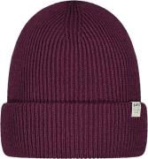 Barts Muts Kinabalu Paars heren
