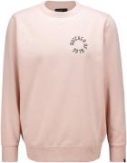 Butcher Of Blue Trui Army Circle Crew Roze heren