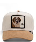 The Suede St. Bernard