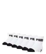 Baby Mini Cats Sock 6-Pack