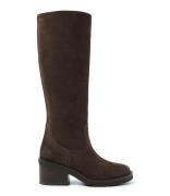Cassy Boot