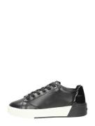 Calvin Klein - Heel Cupsole Lace Up