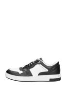 Calvin Klein - Cupsole Laceup Basket