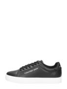 Calvin Klein - Classic Cupsole Lace Up Lth