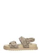 Guess - Fabelis